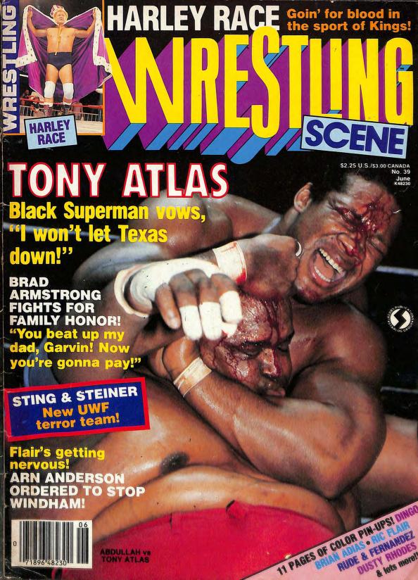 Wrestling Scene June 1987