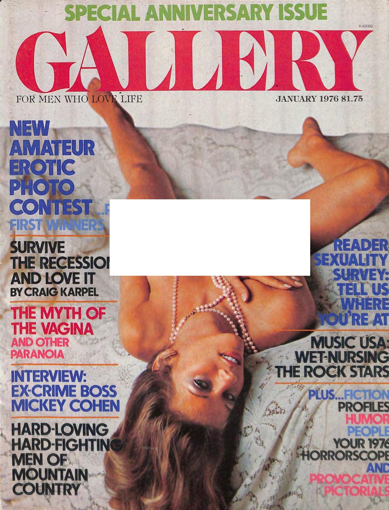 Gallery January 1976 PDF