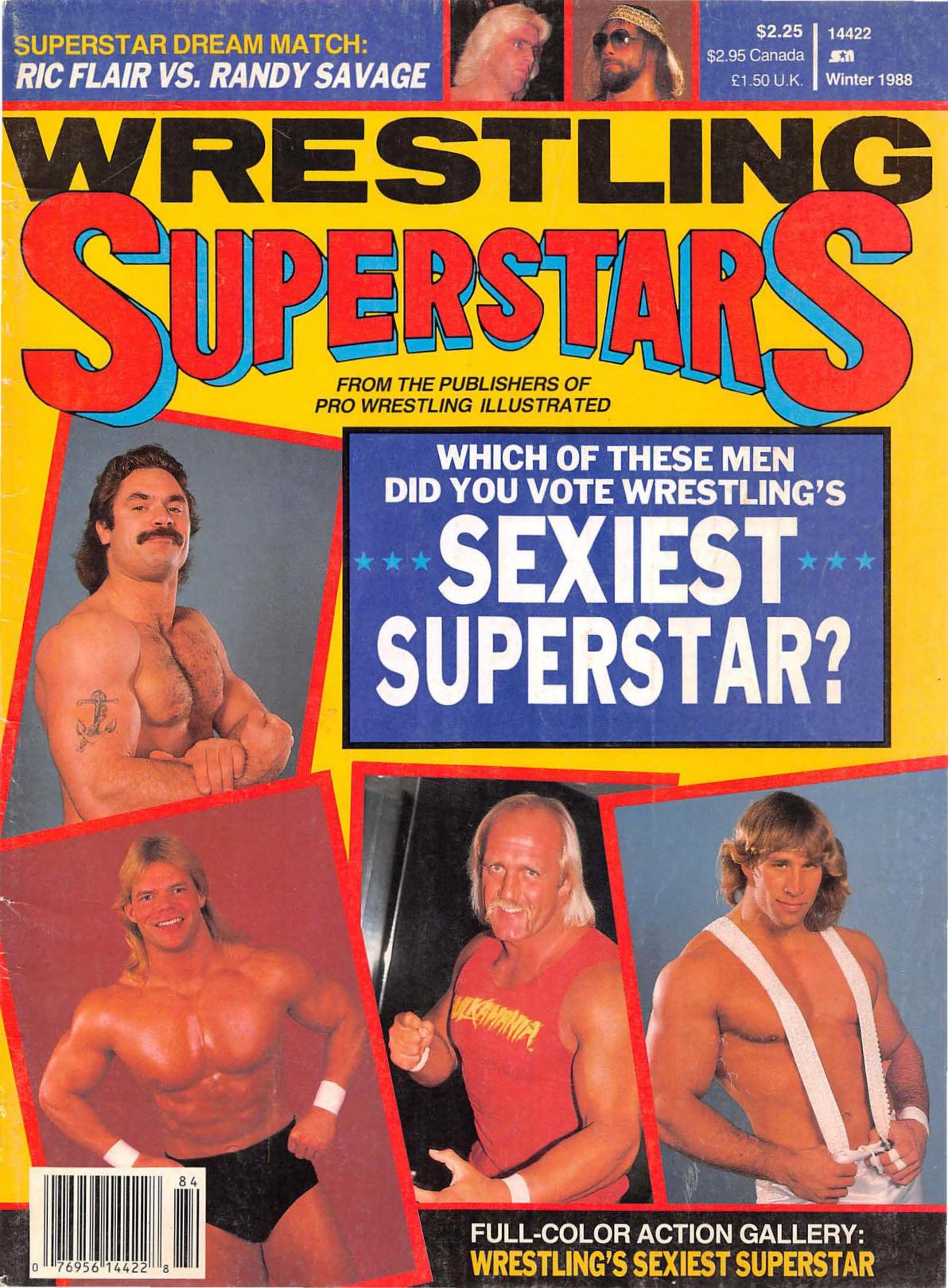 Wrestling Superstars Winter 1988